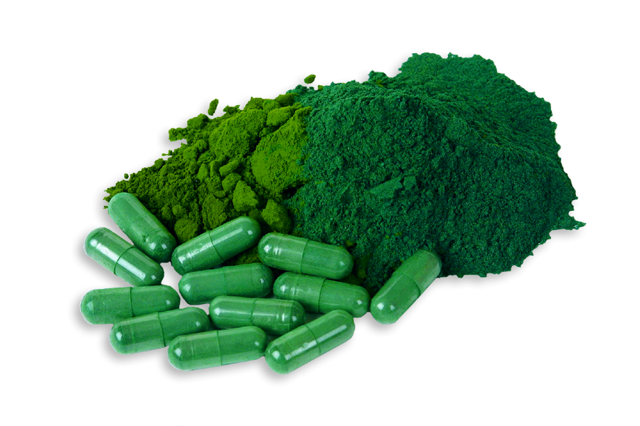 Image of Pure Blue Green Algae