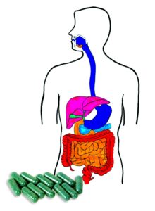 Digestive enzymes for your health