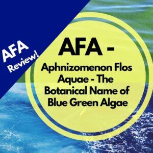 blog AFA review of klamath blue green algae supplement
