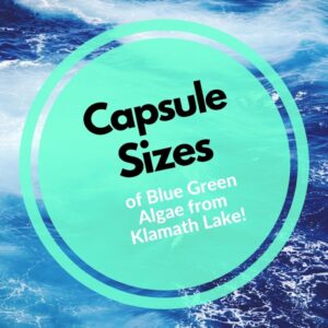 blog image capsule sizes for klamath algae