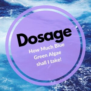 How much shall I take blue green algae dosage