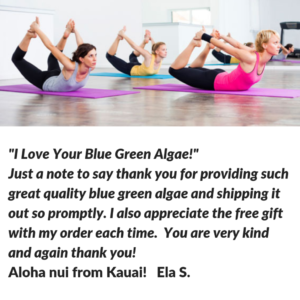 Image of testiminal eating blue green algae